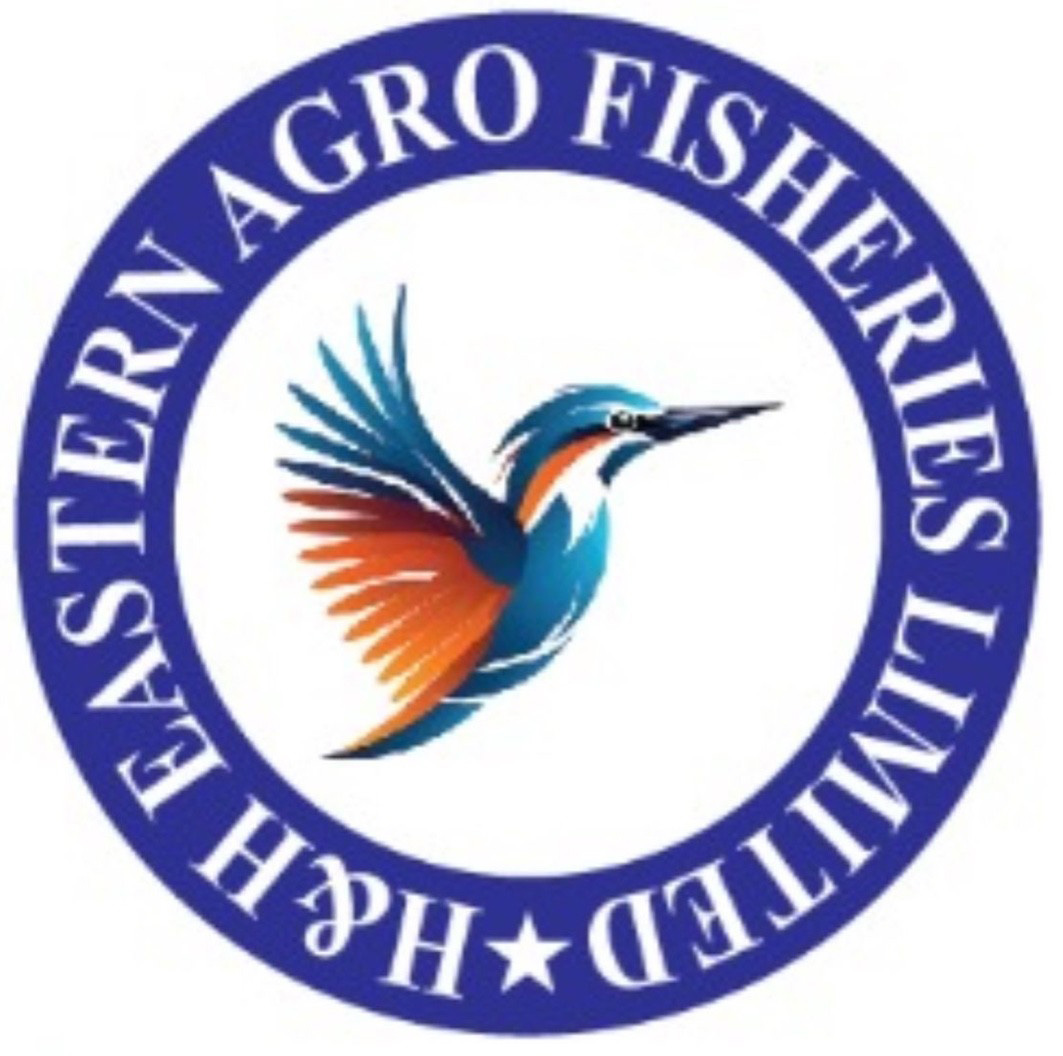 H& H logo icon